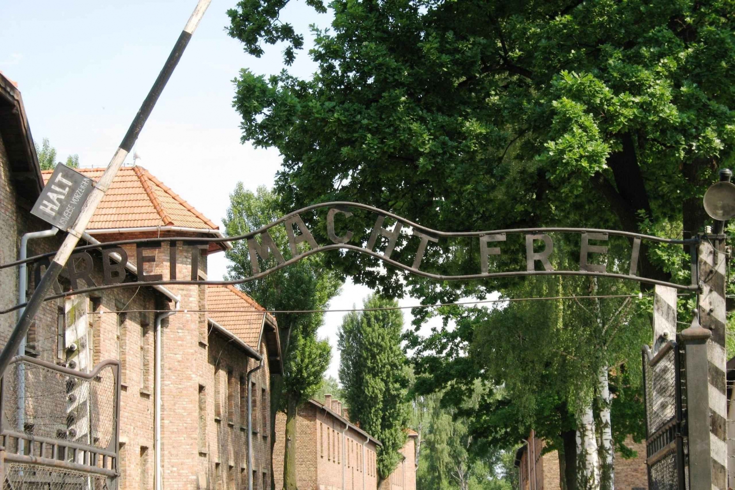 De Varsóvia: Excursão em grupo pequeno a Auschwitz-Birkenau com almoço