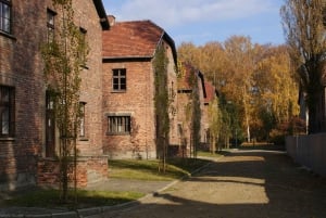 Z Warszawy: Auschwitz-Birkenau Mała Wycieczka Grupowa z Lunchem