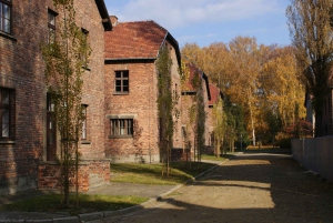 From Warsaw: Auschwitz-Birkenau Small Group Tour with Lunch