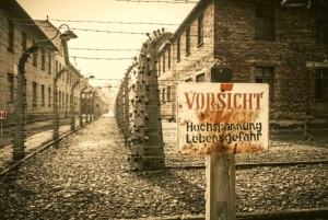 De Varsóvia: Excursão diurna a Auschwitz em carro particular com almoço