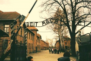 Au départ de Varsovie : Excursion d'une journée à Auschwitz en voiture privée avec déjeuner