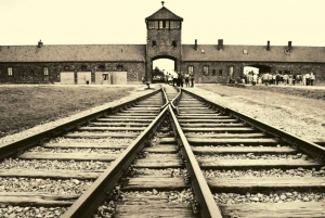 Fra Warszawa: Auschwitz-dagstur med privat bil med lunsj