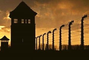 Varsovasta: Auschwitz: Auschwitzin päiväretki yksityisautolla ja lounas