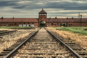 Från Warszawa: Auschwitz dagstur med privat bil med lunch