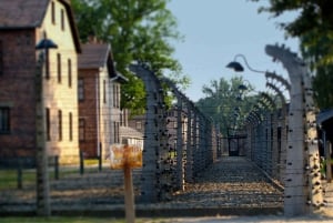 Auschwitz & Wieliczka Salt Mine Full-Day Tour from Warsaw
