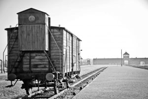 From Warsaw: Auschwitz Tour with Private Transport