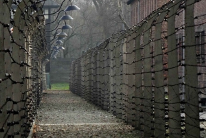 Auschwitz-Birkenau & Wieliczka Trip by Car from Warsaw