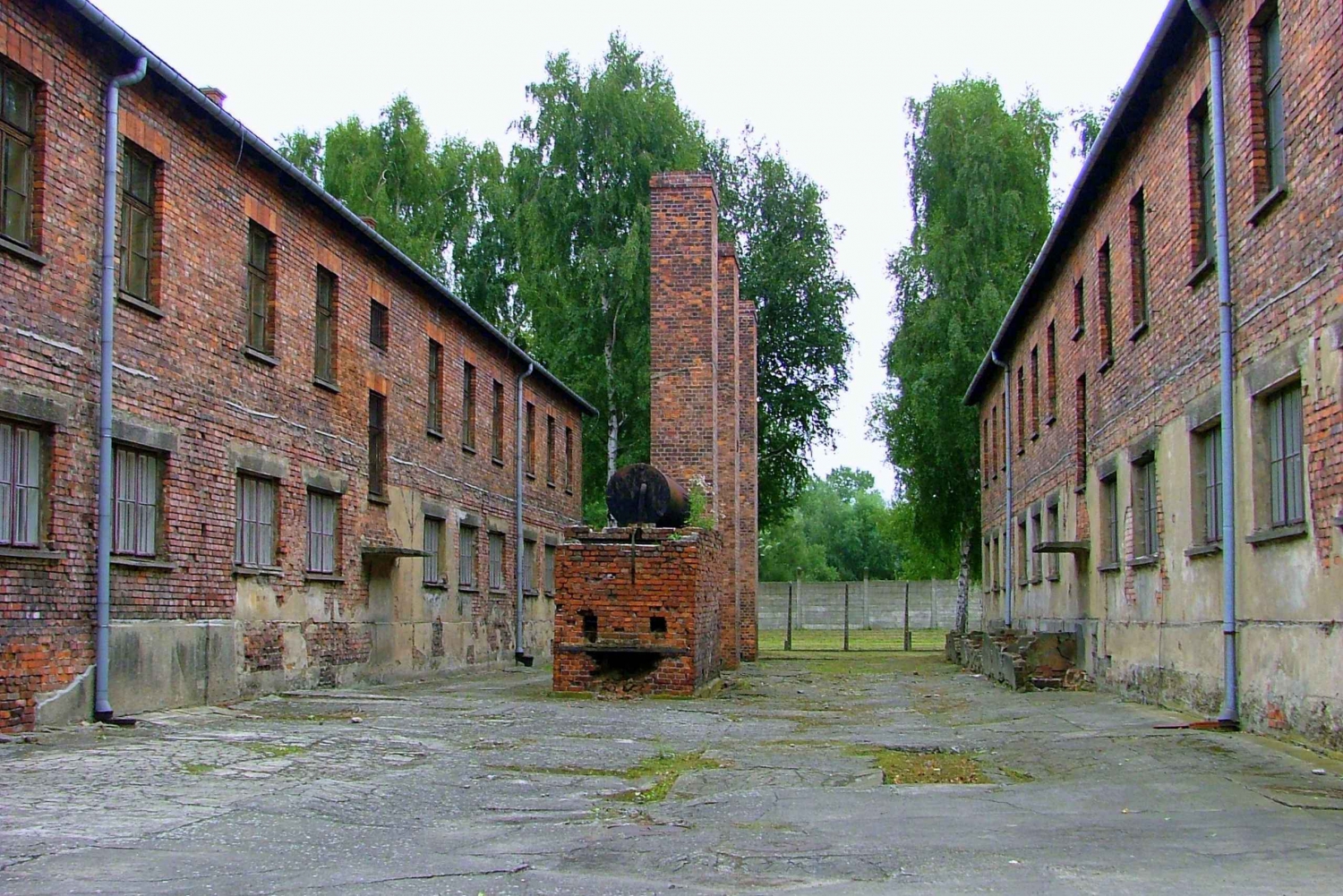 From Warsaw: Full day guided trip to Auschwitz-Birkenau