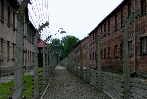 From Warsaw: Full day guided trip to Auschwitz-Birkenau