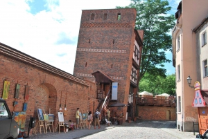 From Warsaw: Full-Day Private Visit to Torun