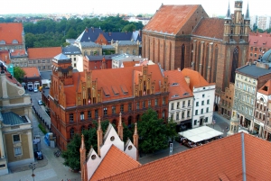 From Warsaw: Full-Day Private Visit to Torun