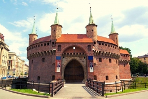From Warsaw: Krakow & Wieliczka Small Group Tour with Lunch