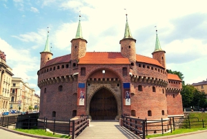 Depuis Varsovie : Visite en petit groupe de Cracovie et Wieliczka avec déjeuner