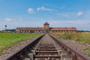 From Warsaw: One-Day Auschwitz Concentration Camp Tour