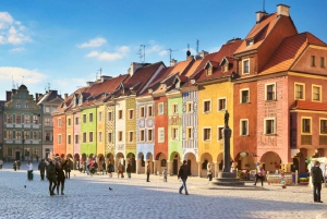 Vanuit Warschau: Poznan dagtrip met kleine groep en lunch
