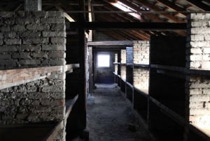 De Varsóvia: Visita guiada compartilhada a Auschwitz-Birkenau