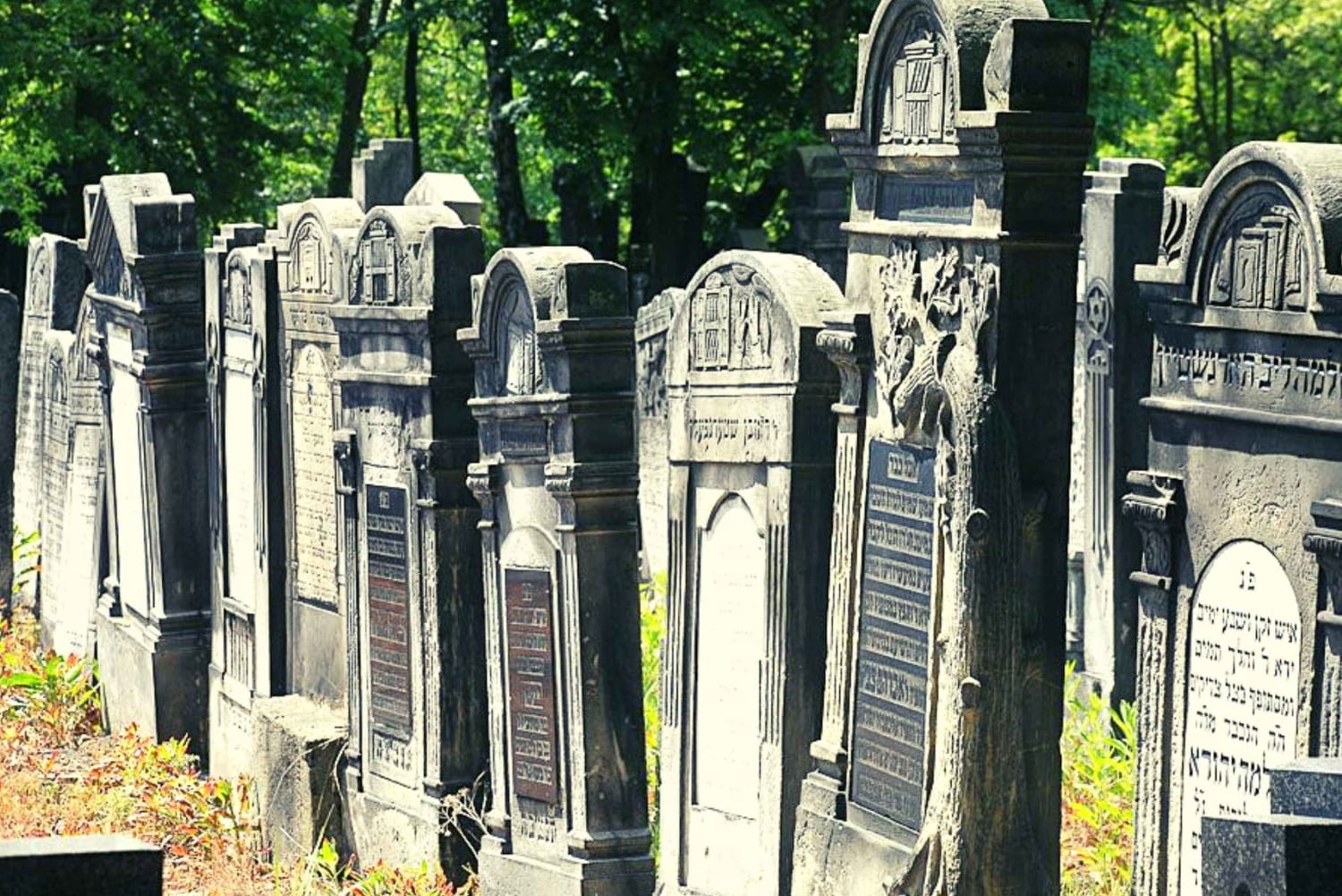 Depuis Varsovie : Visite en petit groupe à Lodz avec déjeuner