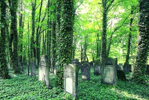 Depuis Varsovie : Visite en petit groupe à Lodz avec déjeuner