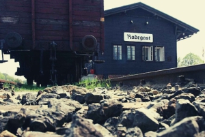 Depuis Varsovie : Visite en petit groupe à Lodz avec déjeuner