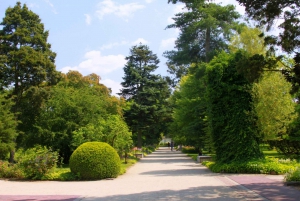 From Warsaw: Tour to Chopin's Birthplace - Żelazowa Wola