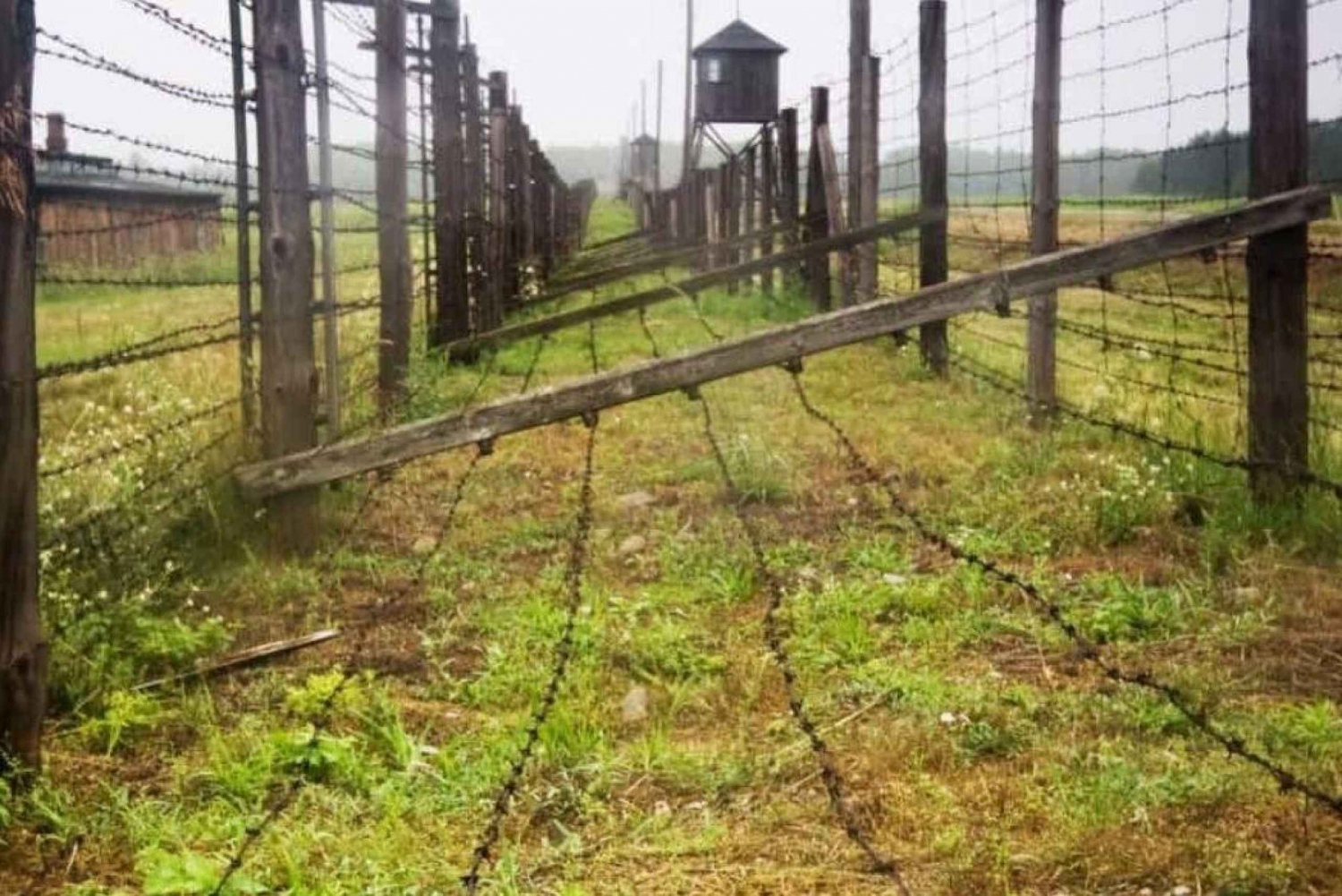 De Varsóvia: Excursão ao Campo de Concentração de Majdanek e Lublin