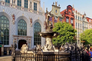 From Warsaw: Tour to Malbork Castle and Gdansk or Sopot