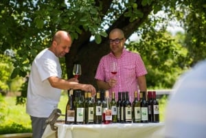 Cracovia: Aventura en 4x4 con cata de vinos