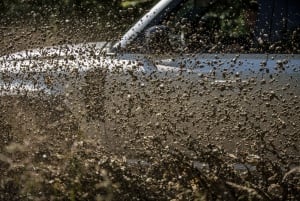 Cracovia: Aventura en 4x4 con cata de vinos