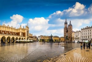 Krakow and Auschwitz: Full Day Trip From Warsaw