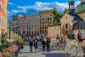 Tour per piccoli gruppi di Cracovia e Auschwitz con pranzo da Varsavia