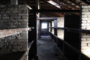 Krakow and Auschwitz Small-Group Tour from Warsaw with Lunch