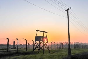 Krakow: Auschwitz-Birkenau and Salt Mine Guided Tour