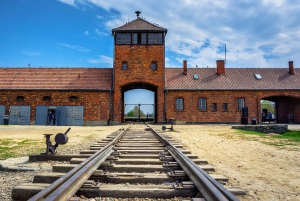 Kraków: Auschwitz Guidad tur med valfri upphämtning från hotell