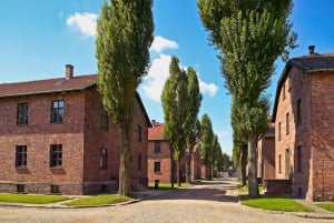 Kraków: Auschwitz Guidad tur med valfri upphämtning från hotell