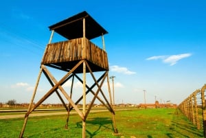 Kraków: Auschwitz Guidad tur med valfri upphämtning från hotell