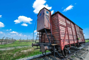 Kraków: Auschwitz Guidad tur med valfri upphämtning från hotell