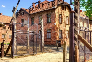 Kraków: Auschwitz Guidad tur med valfri upphämtning från hotell