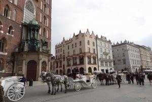 Krakow: Cultural Capital of Poland full Day Trip from Warsaw