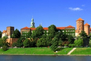 Krakow: full day private tour from Warsaw