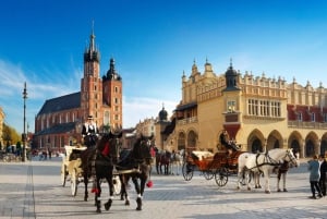 Krakow: Cultural Capital of Poland full Day Trip from Warsaw