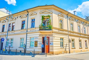 Krakau: Elektroauto-Sightseeing-Tour