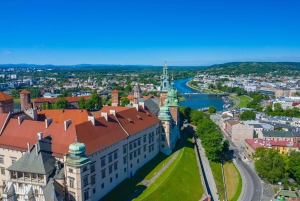 Krakau: Elektroauto-Sightseeing-Tour