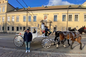 Krakau in einer Pille: Kultur, Brauchtum, Küche - Rundgang