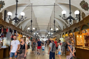 Krakau in einer Pille: Kultur, Brauchtum, Küche - Rundgang