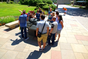 Krakau: Schloss Wawel Führung mit Tickets
