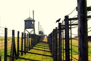 Lublin & Majdanek tur i liten grupp från Warszawa med lunch