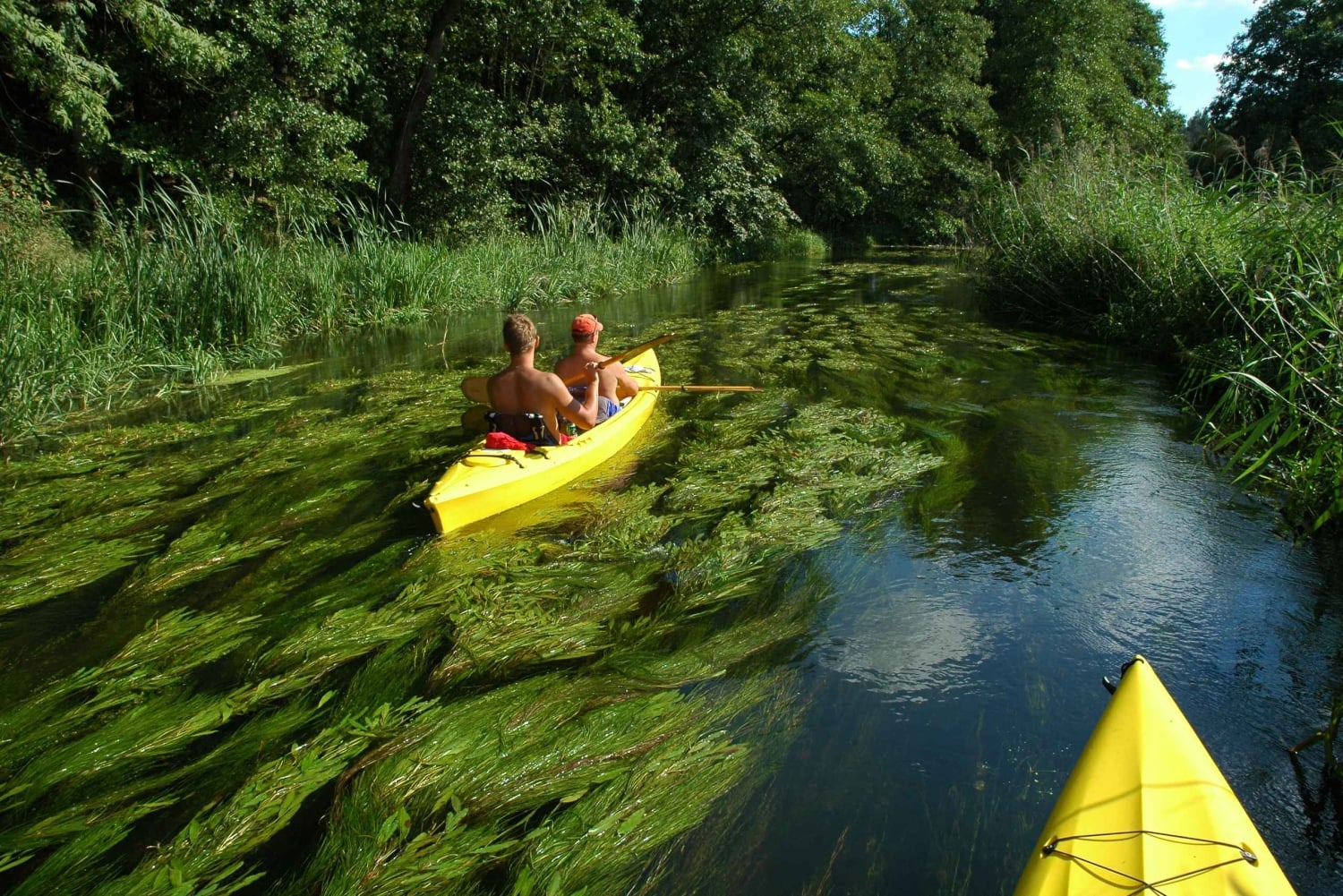 Région des lacs de Mazurie : Excursion en canoë et à la voile au départ de Varsovie