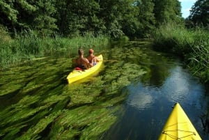 Masurian Lake District: Canoe and Sailing Tour from Warsaw