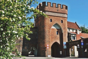 Private tour from Warsaw to Torun