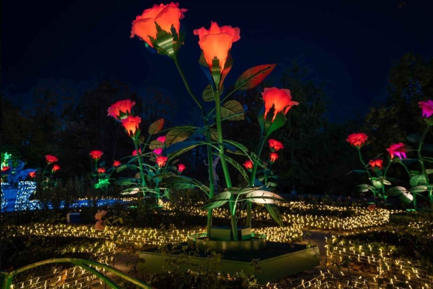 Королевский сад света: вечерняя экскурсия по Вилянувскому дворцу